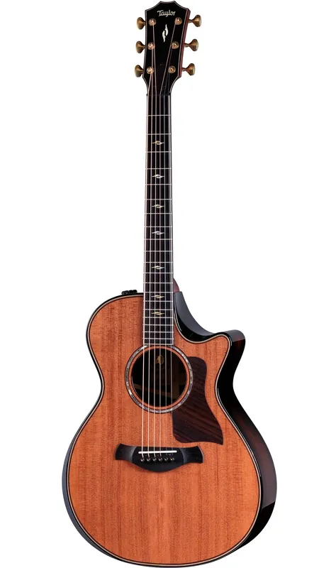 Taylor Builder‘s Edition 812ce LTD 50th Anniversary - Nur noch heute