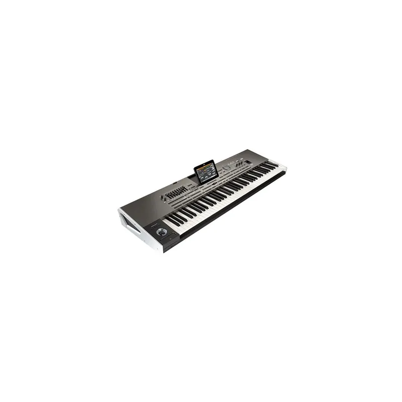 Korg PA4X 76 Musikant Entertainer Workstation Gebraucht, Zustand wie Neu - Sonderpreis