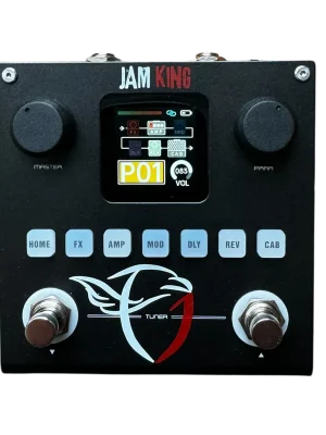 Letzte Chance - Falken1 Jam King