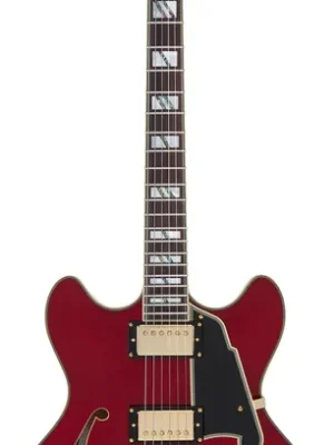 Werkspreis - D‘angelico Excel DC Trans Cherry