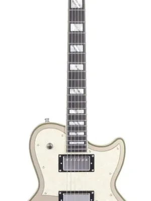 Top bewertet | D‘angelico Deluxe Atlantic Desert Gold