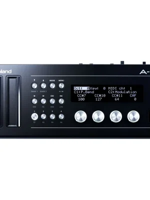 Nur wenige verfügbar | Roland A-01 Controller + Sound Generator