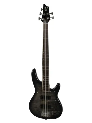 Neu verfügbar | FGN Expert Director Bass 5 Translucent Black