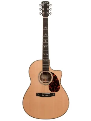 Larrivee Deluxe Series LV-10 Larrivée Body Gloss Finish | Markenqualität