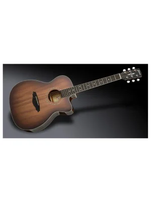 Framus FF 14 M Folk - Vintage Sunburst Transparent High Polish | Neu im Sortiment