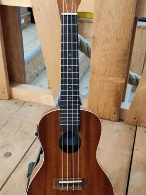 Kala Mahogany Ply Concert Ukulele with EQ, with Concert Bag (UB-C) "B-Stock" - Preisvorteil