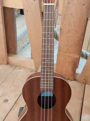 Online kaufen | Kala Mahogany Ply Tenor Ukulele with Tenor Bag (UB-T) "B-Stock"