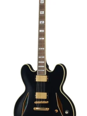 Top-Angebot - Epiphone Emily Wolfe Sheraton Stealth (Incl. EpiLite Case) Black Aged Gloss (Showroom)