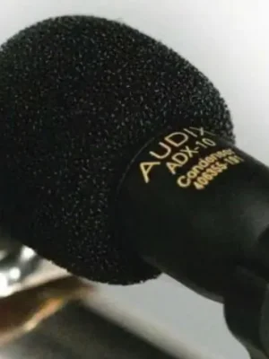 Audix WS-10 | Deal