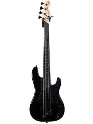 Preiswert | Dingwall SP1 5-String Bass Gloss Metallic Black