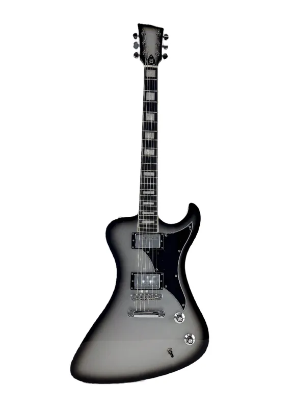 Top-Deal - Dunable Guitars R2 DE v2 – Silverburst