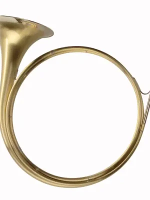 DOTZAUER-Parforcehorn in Es 18430 *Thüringen* - Sichere Zahlung