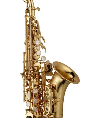 Einfach bestellen | YANAGISAWA Sopransaxophon SC WO10 Elite