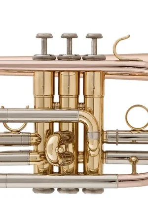Zertifiziert | aS-Kornett ACR-655G, kurzes Modell, Goldmessing