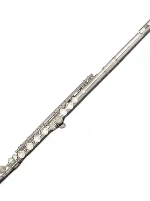 Top-Deal | Di Zhao Flöte DZ 301 RCE