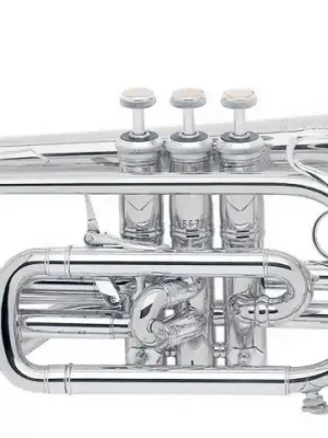 Neu im Sortiment - BACH-Kornett Stradivarius 184SL