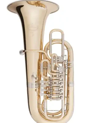 Nur heute | B&S-F-Tuba 3100/WG-L -Fanny- Limited