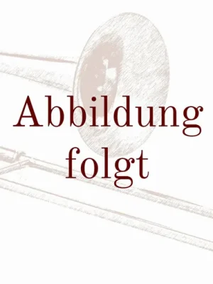 K&H-Es/B-Altposaune "Orchestra alto" GNZ - Preis gesenkt