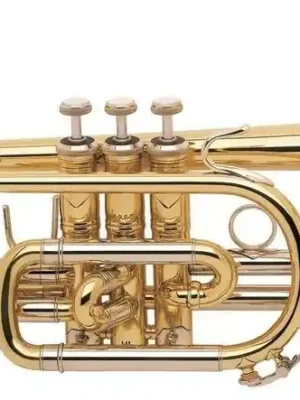 Deal | BACH-Kornett Stradivarius 181L