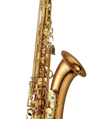 Brandneu | YANAGISAWA Tenorsaxophon T-WO2 Professional