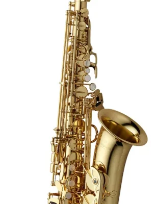 YANAGISAWA Altsaxophon A WO1 Professional - Sofort kaufen