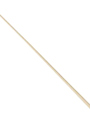 Preis gesenkt | ROHEMA-Taktstock Modell Bach