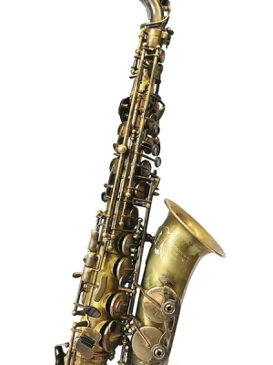 EXPRESSION Altsaxophon XP-2 MASTER | Schnäppchen