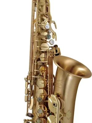 Preis gesenkt | P.MAURIAT Altsaxophon LE BRAVO 200GL