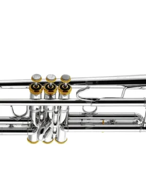 BACH-Trompete Stradivarius 18037R - Direkt kaufen