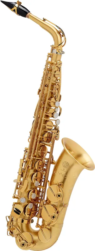 Top-Qualität | SELMER Altsaxophon SUPREME matt gebürstet mit Gravur