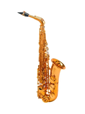 Sicher einkaufen - SELMER Altsaxophon SIGNATURE vergoldet