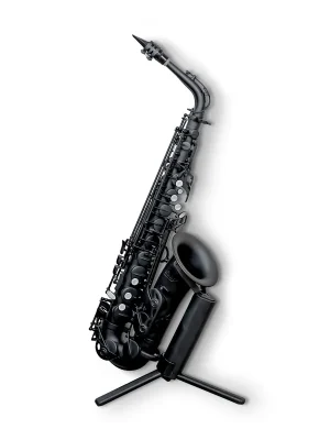 Nur noch kurze Zeit | Stalaxy Altsaxophon