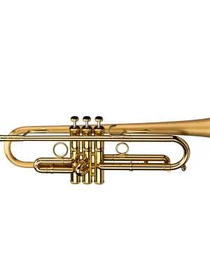 CAROL BRASS-Bb-Trompete CTR8882L-GLT-Bb-SLB - Kundenliebling