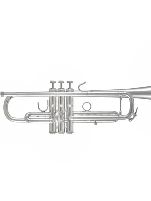 BACH-Trompete 170S43GY - Preiswert