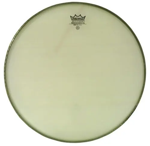 Online kaufen | Remo 8" Renaissance Ambassador