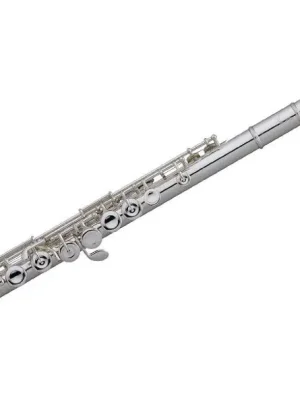 Neu gelistet | Pearl PF-B505-E HC Quantz Brezza Querflöte, Neusilber versilbert, incl. Etui