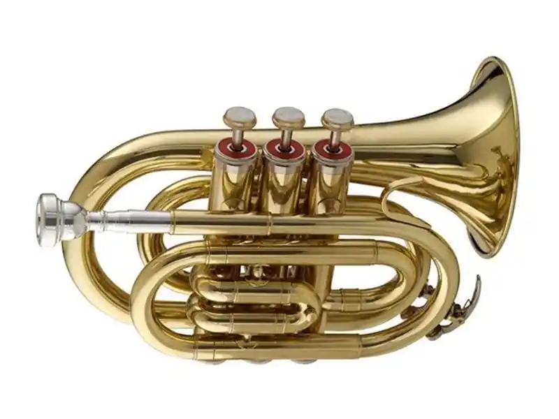 SWING TT-201 B-Taschentrompete lackiert, Bohr.11,70 mm, Etui u. Zubehör - Expresslieferung