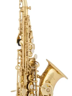 Top-Deal | aS Arnolds & Sons ASS-101C Sopransaxophon gebogen , inkl. Etui und Zubehör