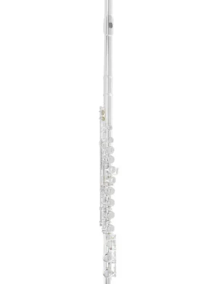 Super-Preis - Armstrong Querflöte FL-650E, incl. Etui, FL650E