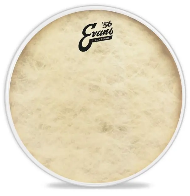 Sofort kaufen - Evans 18" Calftone Tom Fell TT18C7