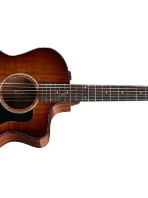Expressversand - Taylor 224ce-K DLX