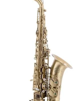 Jetzt zugreifen - Chateau Altsaxophon CAS50 AN, Antique Powerbell Schallstück, gebürstet