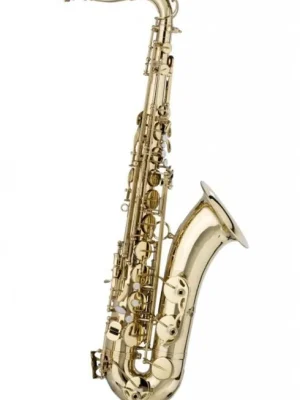 Preisknaller - SWING Tenorsaxophon TS-201 lackiert, incl. Etui u. Zubehör
