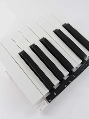 Tasten für Technics Keyboard Reinweiß Tasten Octave Last - Endet bald