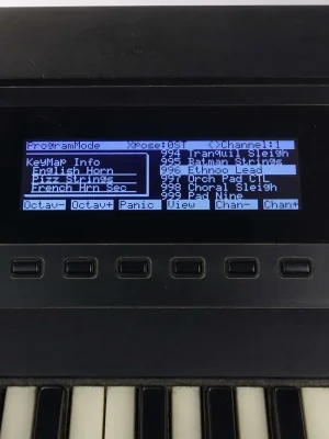 Premium-Qualität - Kurzweil K2000 LCD Display Schwarz mit Kabel NEU