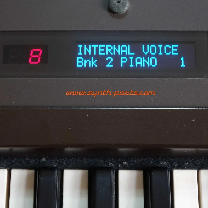Verfügbar | Yamaha DX21 OLED Display NEU LCD Ersatz Blau