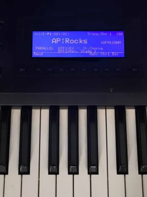 Knallerpreis | Yamaha QS-300 LCD Display Blau mit Kabel
