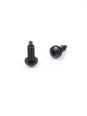 Schraube M6 x 18 mm schwarz PH Rack Montage | Direkt kaufen