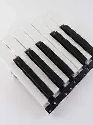 Tasten für Korg X50 Tasten Octave Mitte KOC-H30305-1 | Nur solange der Vorrat reicht