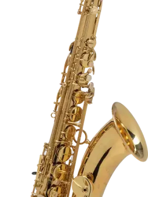 Aktionspreis | Axos Tenorsaxophon Bb Goldlack SE-TAXL
